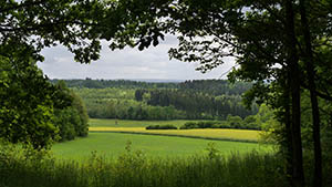 landschaft bei herlasgrün