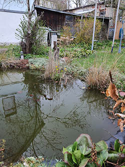 Gartenteich im April