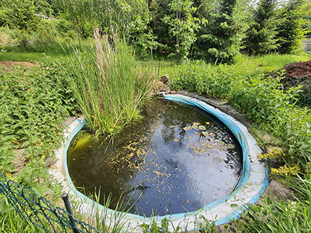 Gartenteich