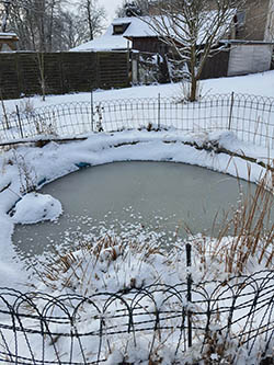 Teich im Winter