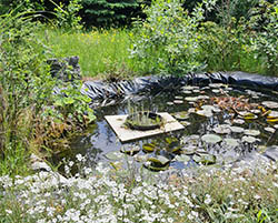 Gartenteich